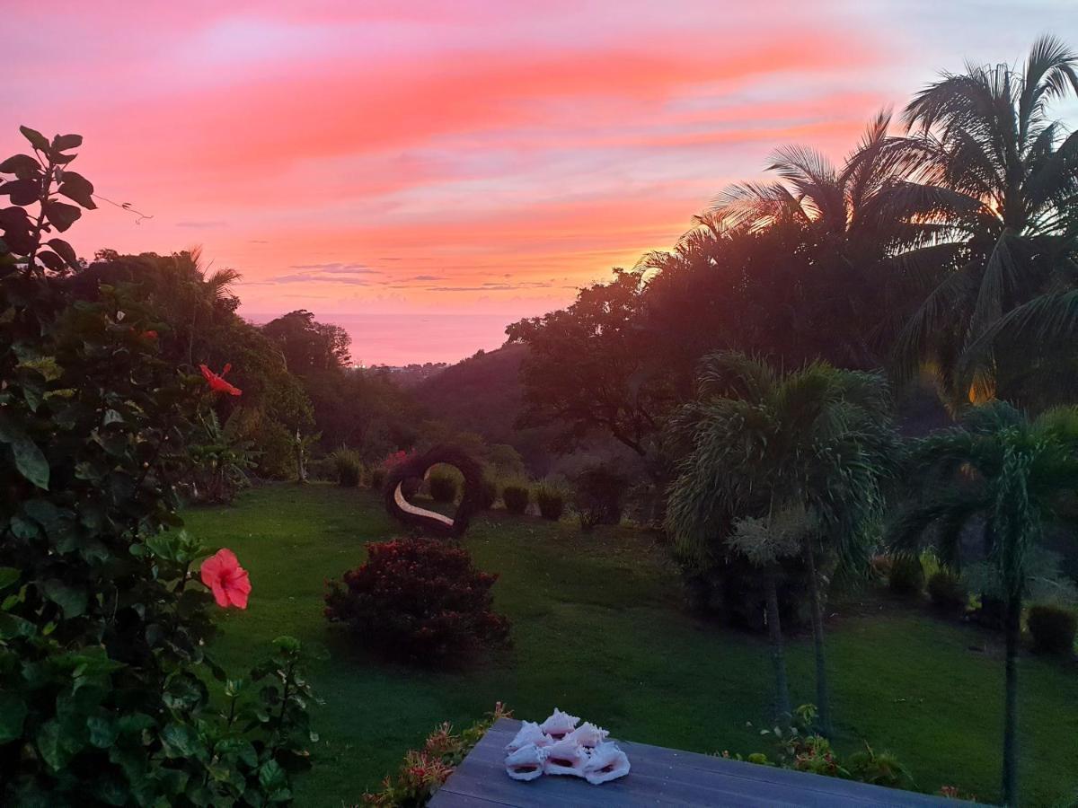 Gite 4 Etoiles, La Vieille Sucrerie St Claude Guadeloupe, Jacuzzi Spa Privatif, Vue Exceptionnelle Sur La Mer Des Caraibes Басе Тере Екстериор снимка