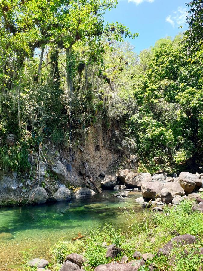 Gite 4 Etoiles, La Vieille Sucrerie St Claude Guadeloupe, Jacuzzi Spa Privatif, Vue Exceptionnelle Sur La Mer Des Caraibes Басе Тере Екстериор снимка