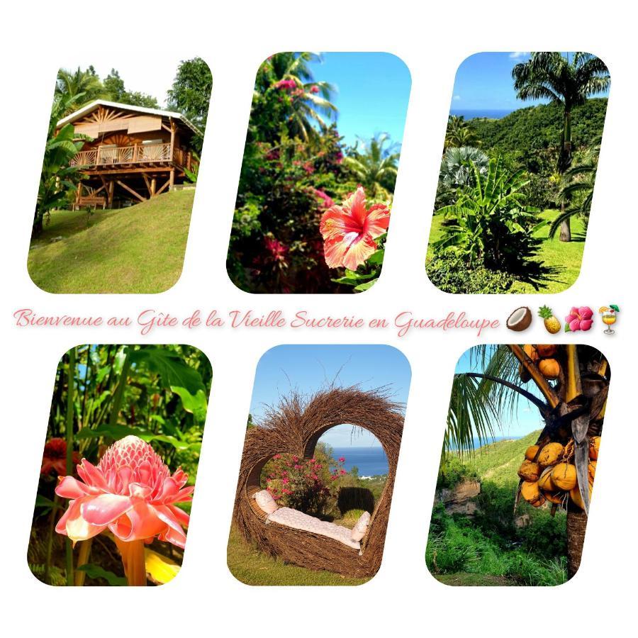 Gite 4 Etoiles, La Vieille Sucrerie St Claude Guadeloupe, Jacuzzi Spa Privatif, Vue Exceptionnelle Sur La Mer Des Caraibes Басе Тере Екстериор снимка