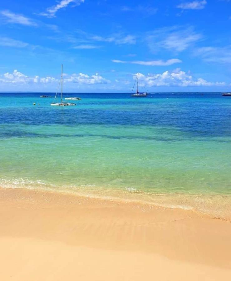 Gite 4 Etoiles, La Vieille Sucrerie St Claude Guadeloupe, Jacuzzi Spa Privatif, Vue Exceptionnelle Sur La Mer Des Caraibes Басе Тере Екстериор снимка