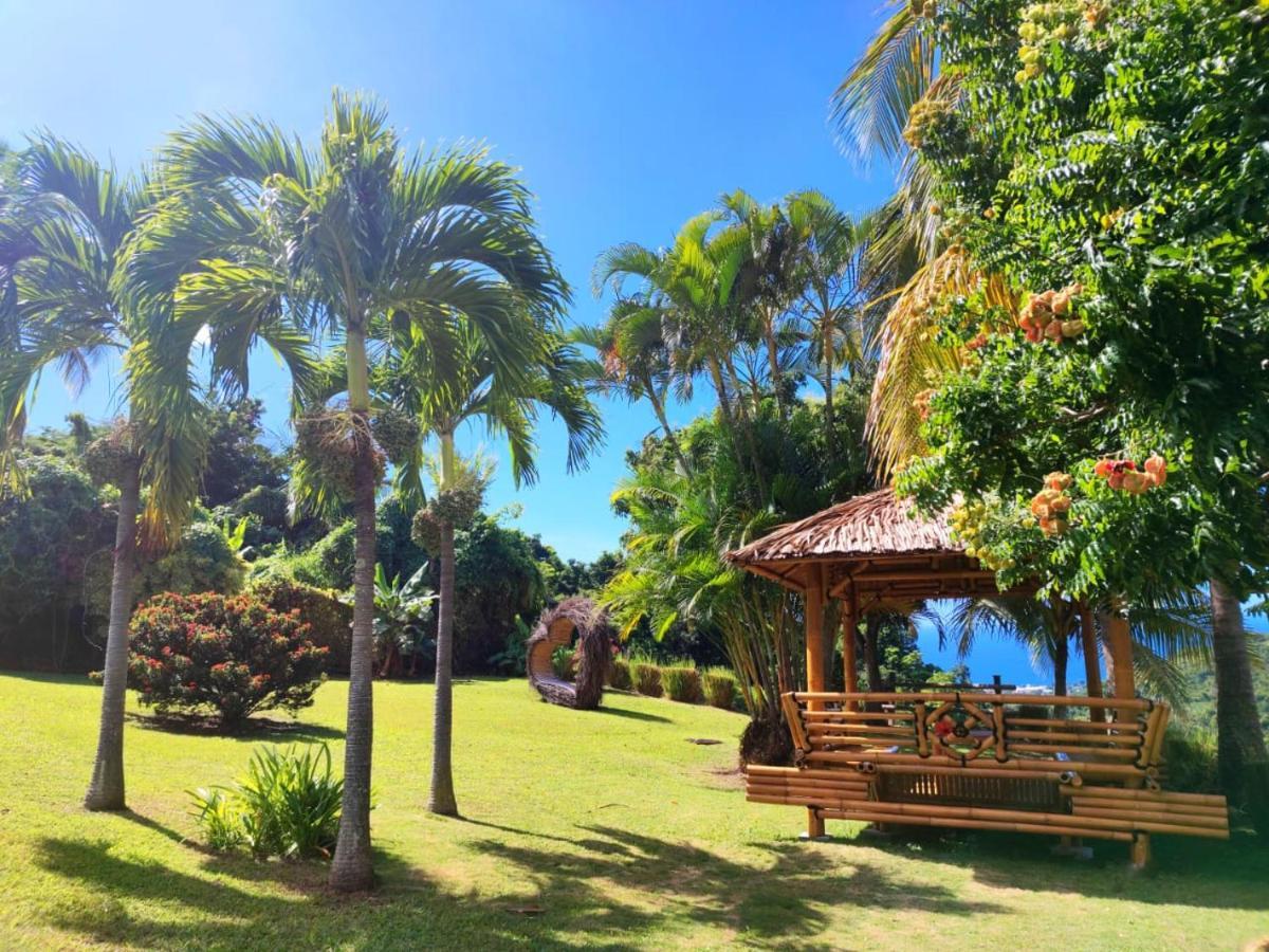 Gite 4 Etoiles, La Vieille Sucrerie St Claude Guadeloupe, Jacuzzi Spa Privatif, Vue Exceptionnelle Sur La Mer Des Caraibes Басе Тере Екстериор снимка