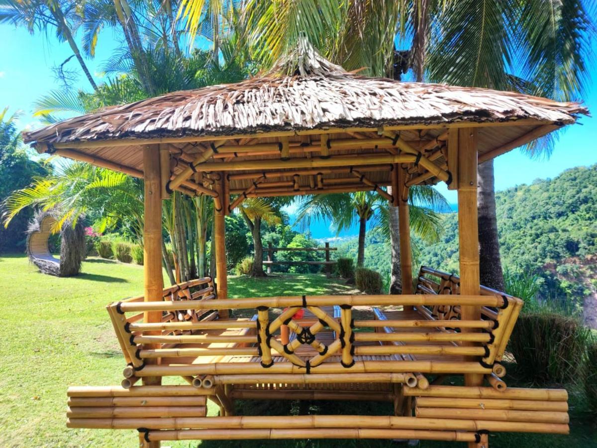 Gite 4 Etoiles, La Vieille Sucrerie St Claude Guadeloupe, Jacuzzi Spa Privatif, Vue Exceptionnelle Sur La Mer Des Caraibes Басе Тере Екстериор снимка