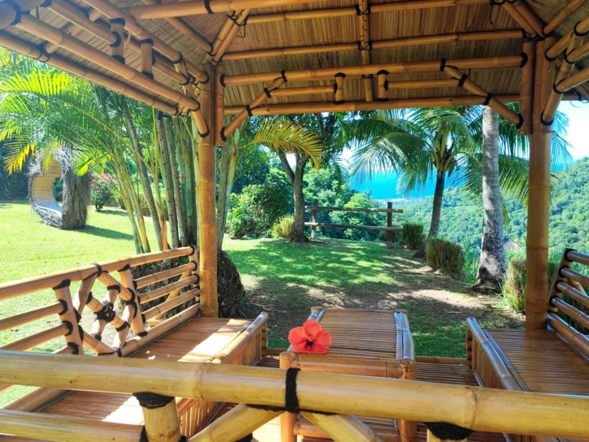 Gite 4 Etoiles, La Vieille Sucrerie St Claude Guadeloupe, Jacuzzi Spa Privatif, Vue Exceptionnelle Sur La Mer Des Caraibes Басе Тере Екстериор снимка