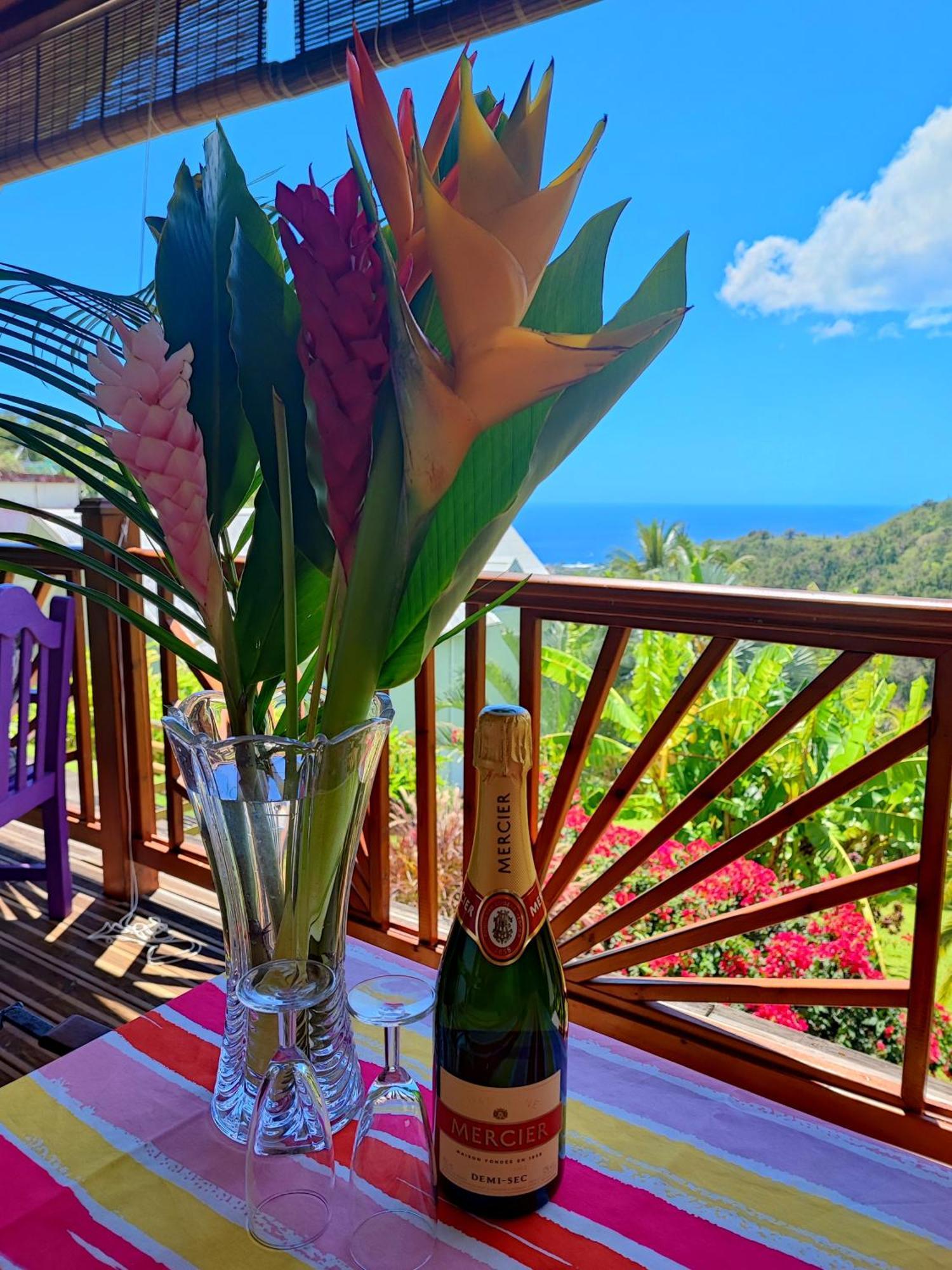 Gite 4 Etoiles, La Vieille Sucrerie St Claude Guadeloupe, Jacuzzi Spa Privatif, Vue Exceptionnelle Sur La Mer Des Caraibes Басе Тере Екстериор снимка