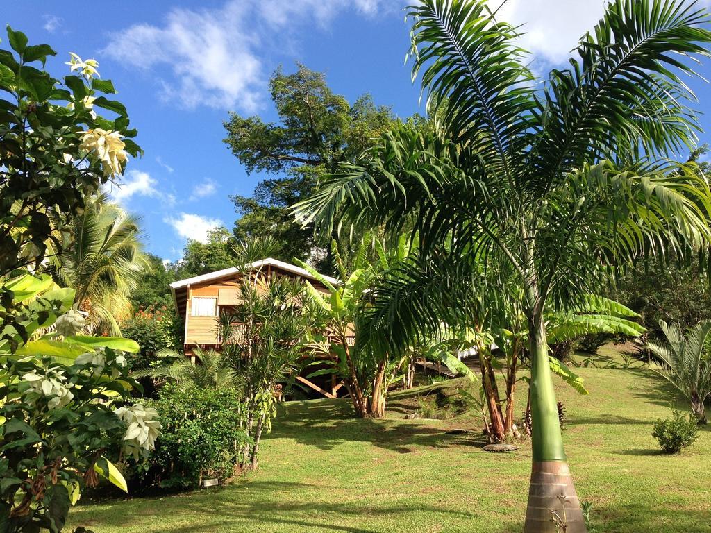 Gite 4 Etoiles, La Vieille Sucrerie St Claude Guadeloupe, Jacuzzi Spa Privatif, Vue Exceptionnelle Sur La Mer Des Caraibes Басе Тере Екстериор снимка